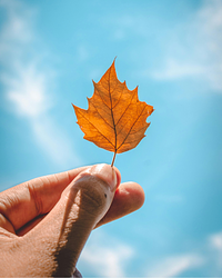 How to decorate your home this autumn with Frenchgate’s top decor picks