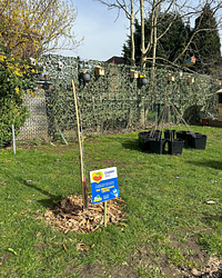 Frenchgate supports Plover’s Primary School’s Eco Garden!