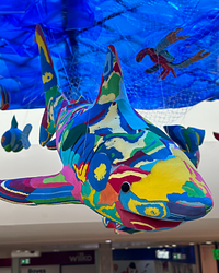 Fenchgate Shopping Centre teams up with Ocean Sole turning pollution into art